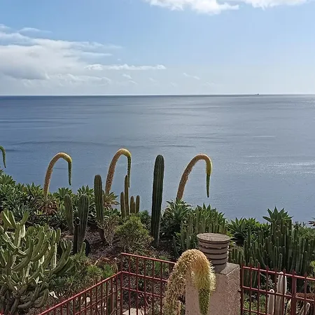 The Ocean At Your Doorstep Tabaiba